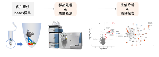 史诗级更新!IP-MS蛋白互作组学解决方案 - 知乎