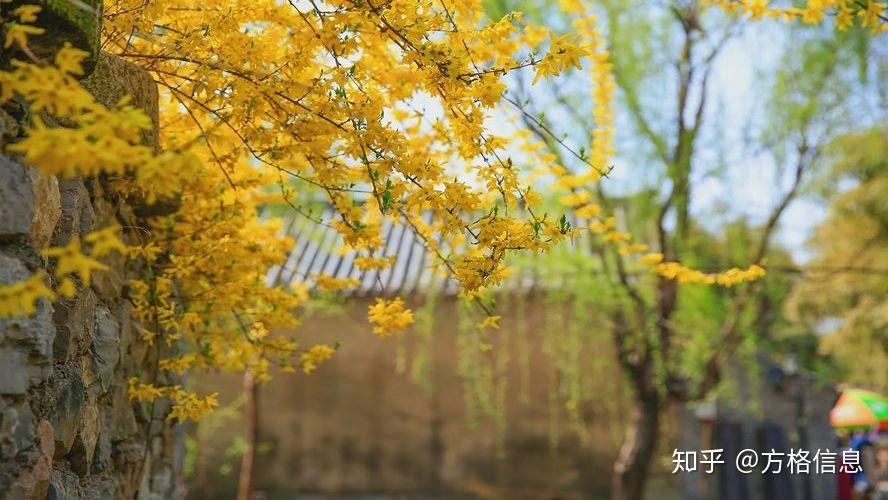 视频剪辑怎么学?如何快速找到思路 - 知乎
