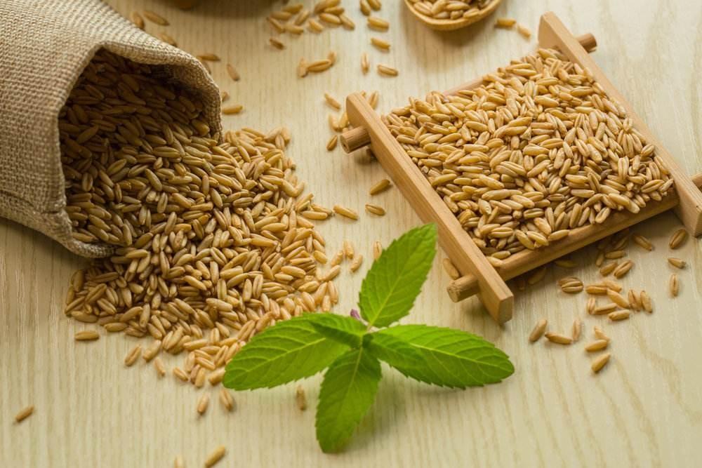 国产裸燕麦对比进口皮燕麦有哪些优势? - 知乎