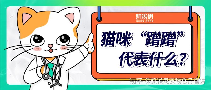 猫咪"蹭蹭"代表什么?