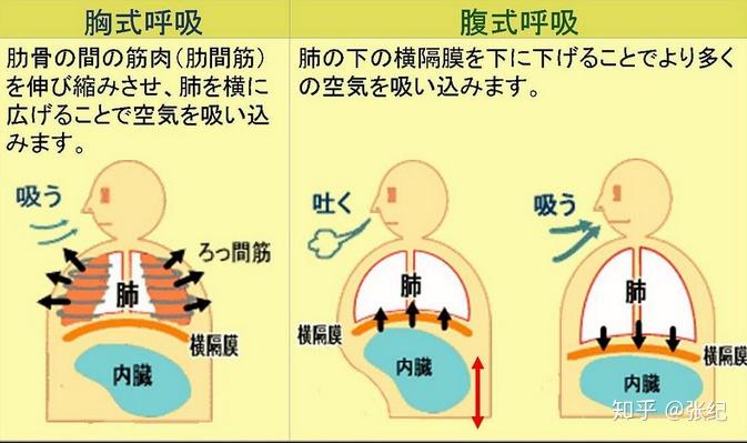 valsalva动作图示法图片