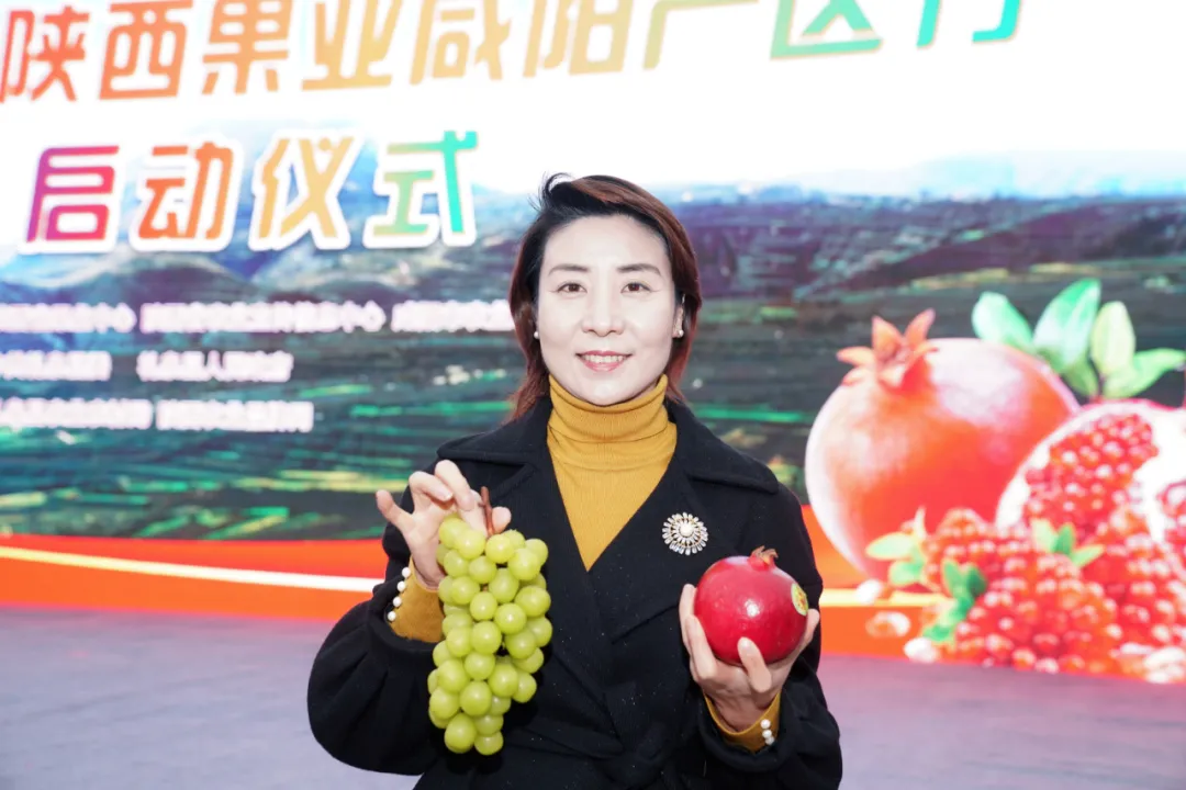 县委常委,副县长路红讲道,近年来,礼泉县紧紧围绕产业振兴"三片五群一