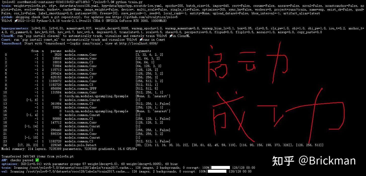Autodl yolov5 