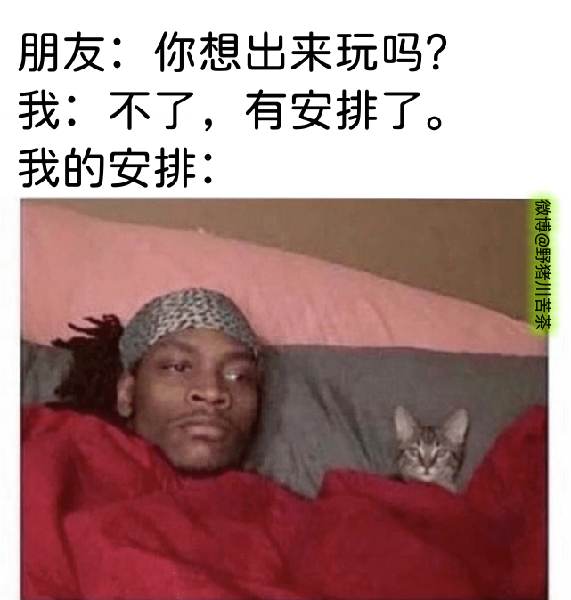 【meme】沙雕搞笑梗图 - 知乎