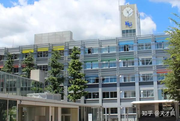 大学 解答 神奈川