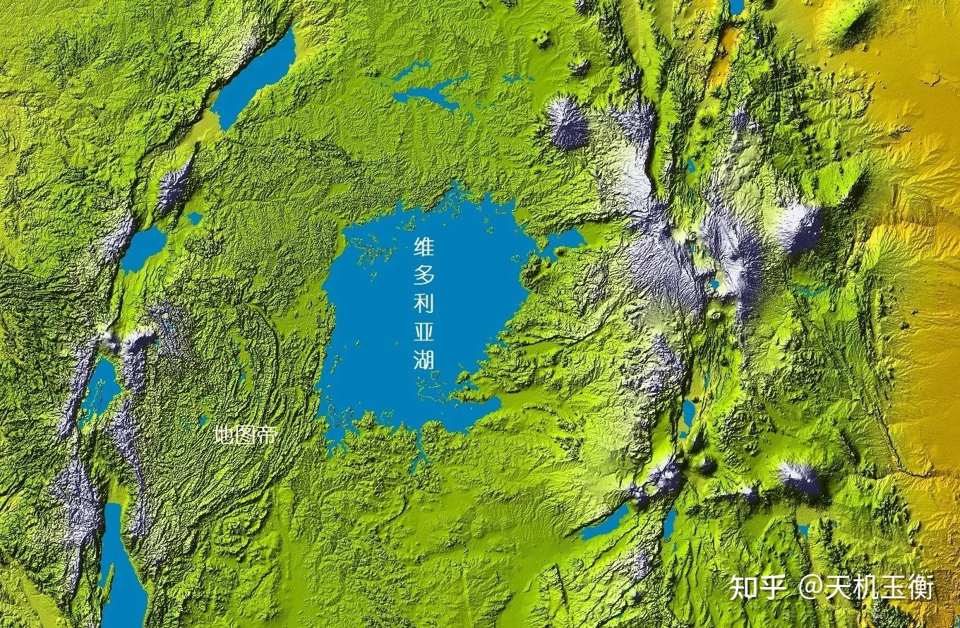 宁可挤在米金戈岛捉虱子?