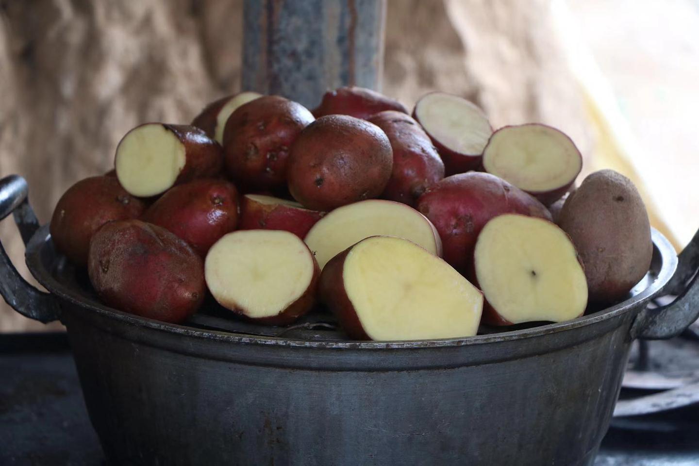 v2-eb26288845d78e9e4cf0a953d5db10e4_1440w.jpg?source=172ae18b