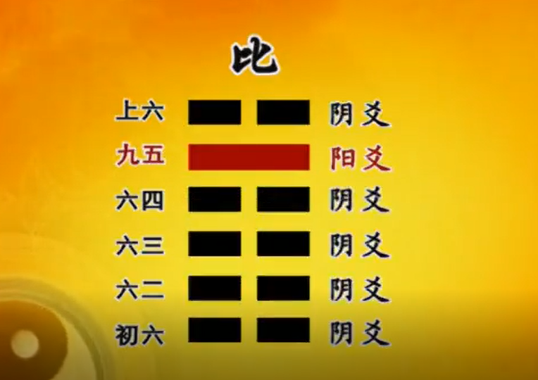 曾仕强教授《易经的智慧》(易经详解文字版 026卦序08比卦(上)亲比和谐) - 知乎