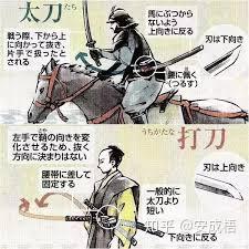 明日方舟干员人物专题——夜刀(Yato)&黑角(Noir Corne) - 知乎