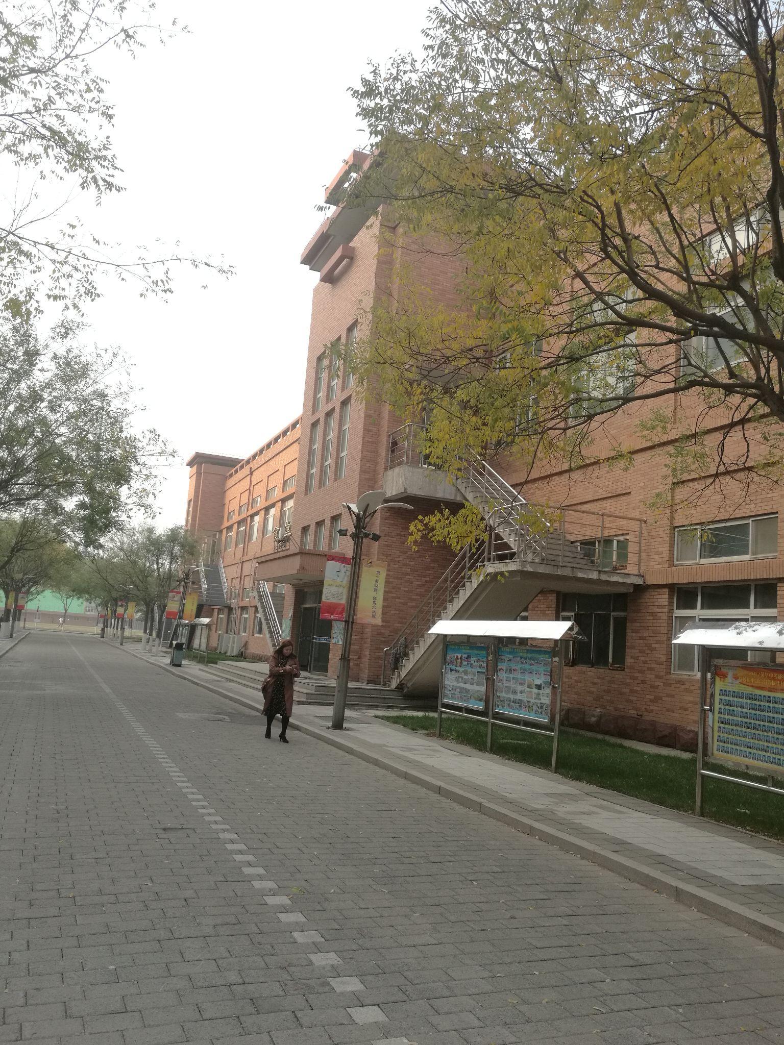 在天津英华国际学校就读是怎样的体验?