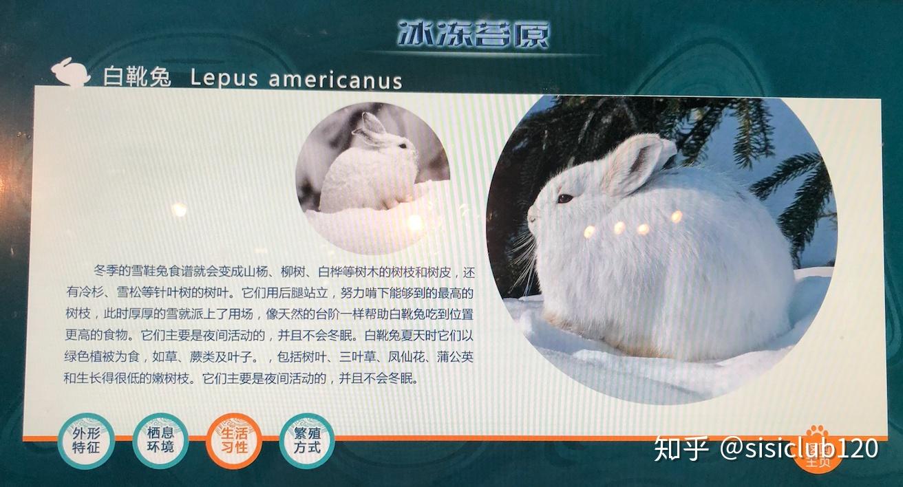 试运行期间开放四个展厅:远古海洋,龙的时代,今日海洋和发现之旅,展览