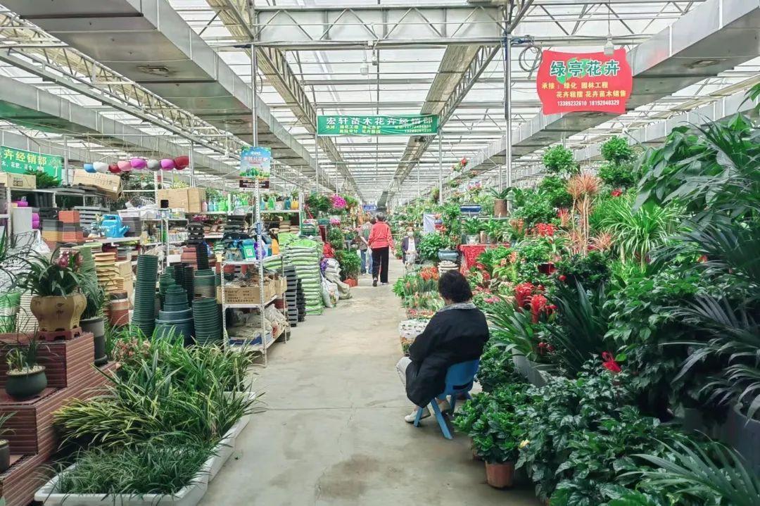 西安凤城二路花卉市场图片
