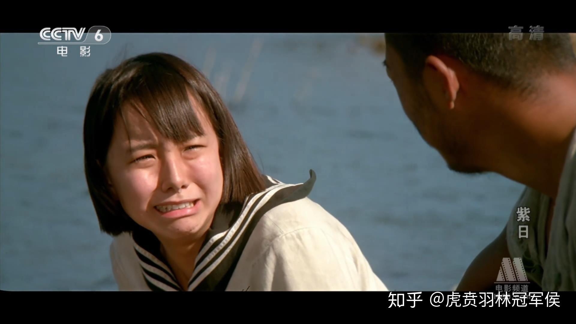 如何评价紫日这部电影