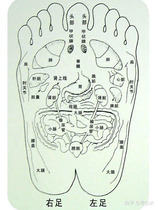 老中医孙思邈怎么养生(孙思邈的十三种养生方法)