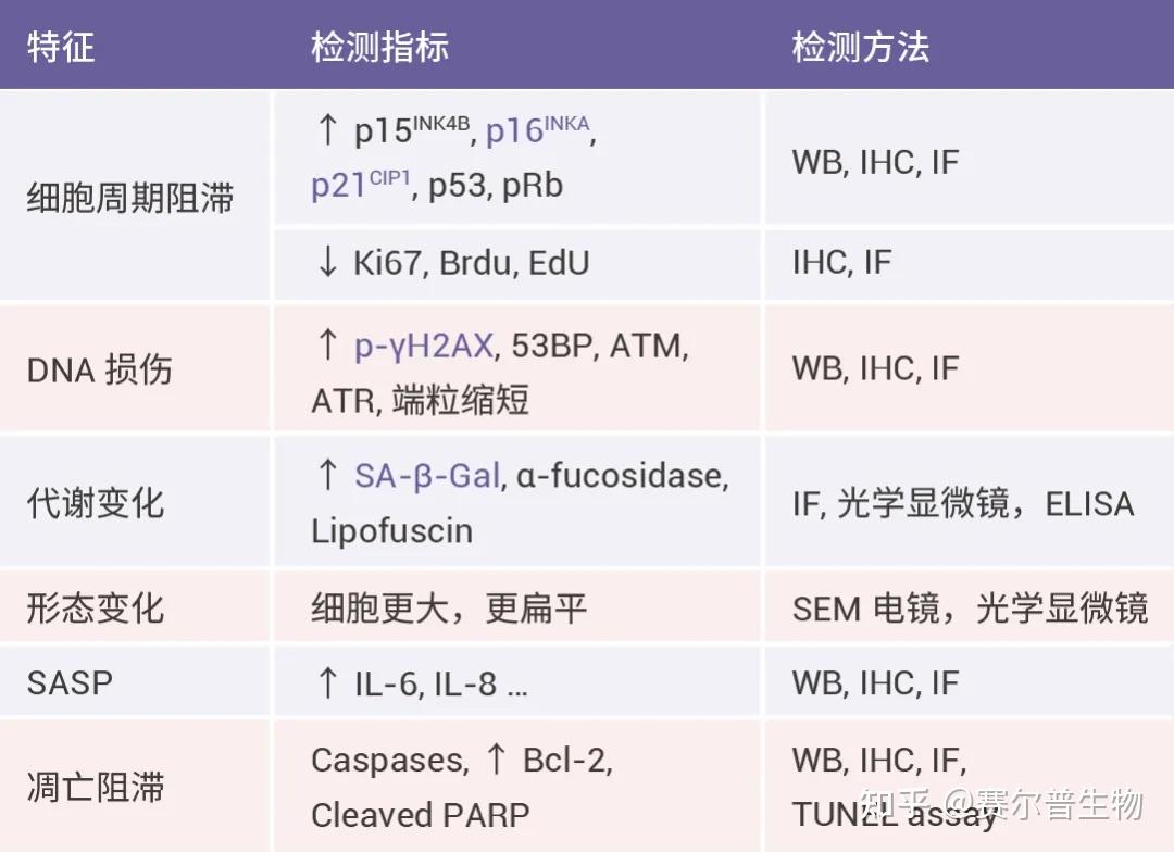 深度探究细胞衰老 | 分类、信号通路、干预、检测方法、文献解析 - 知乎