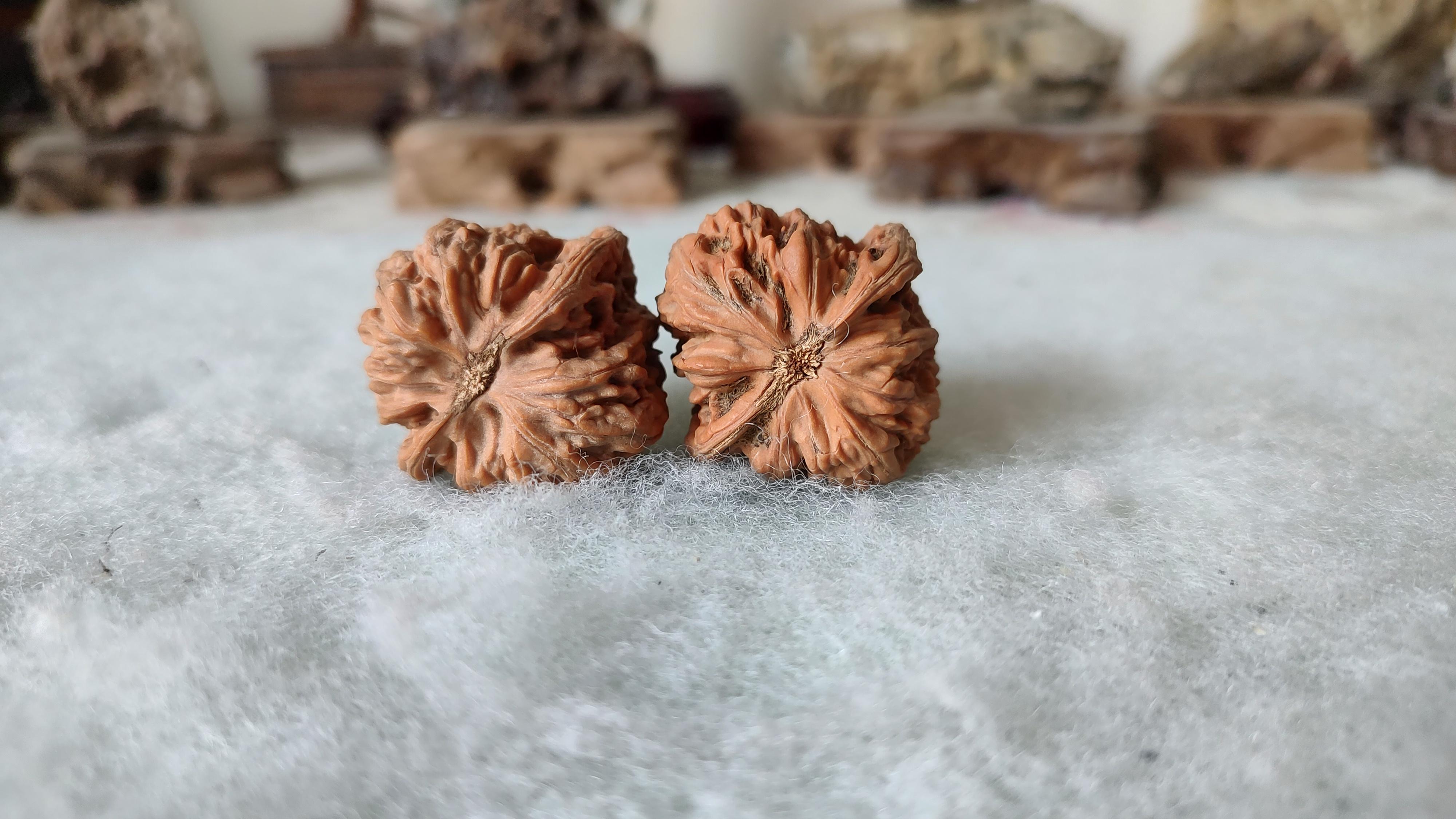 风氏文玩收藏馆:0078 麻核桃 脆皮青 - 知乎