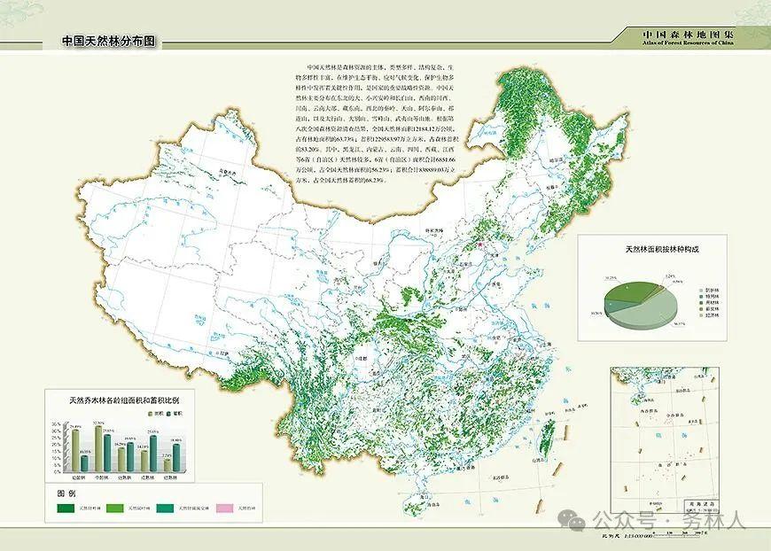 中国天然林分布图 - 知乎