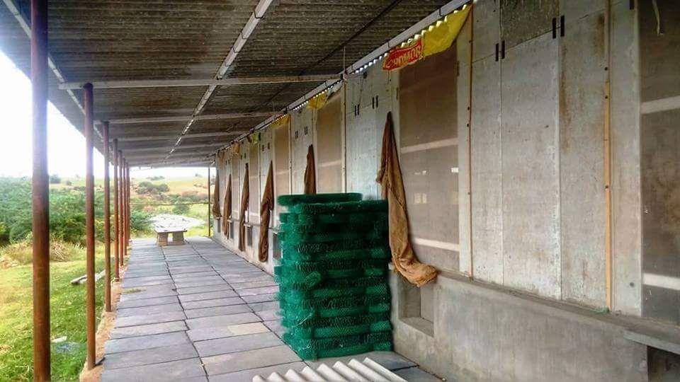 蚕房设计 - 知乎