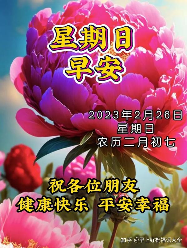 2月26日周日早上好，星期天精选祝福图片带字带问候语录集 知乎