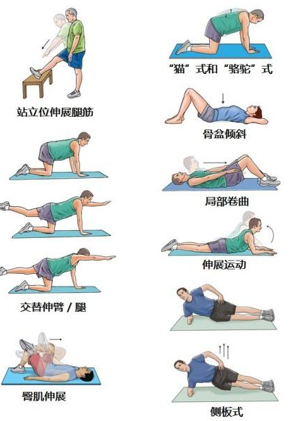 腰椎滑脱锻炼图动作图片