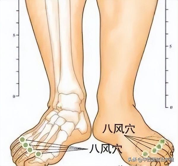 「穴位科普」30个有神奇疗效的经外奇穴 - 知乎