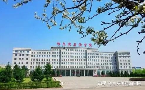 哈尔滨原油(哈尔滨原油一次加工能力)