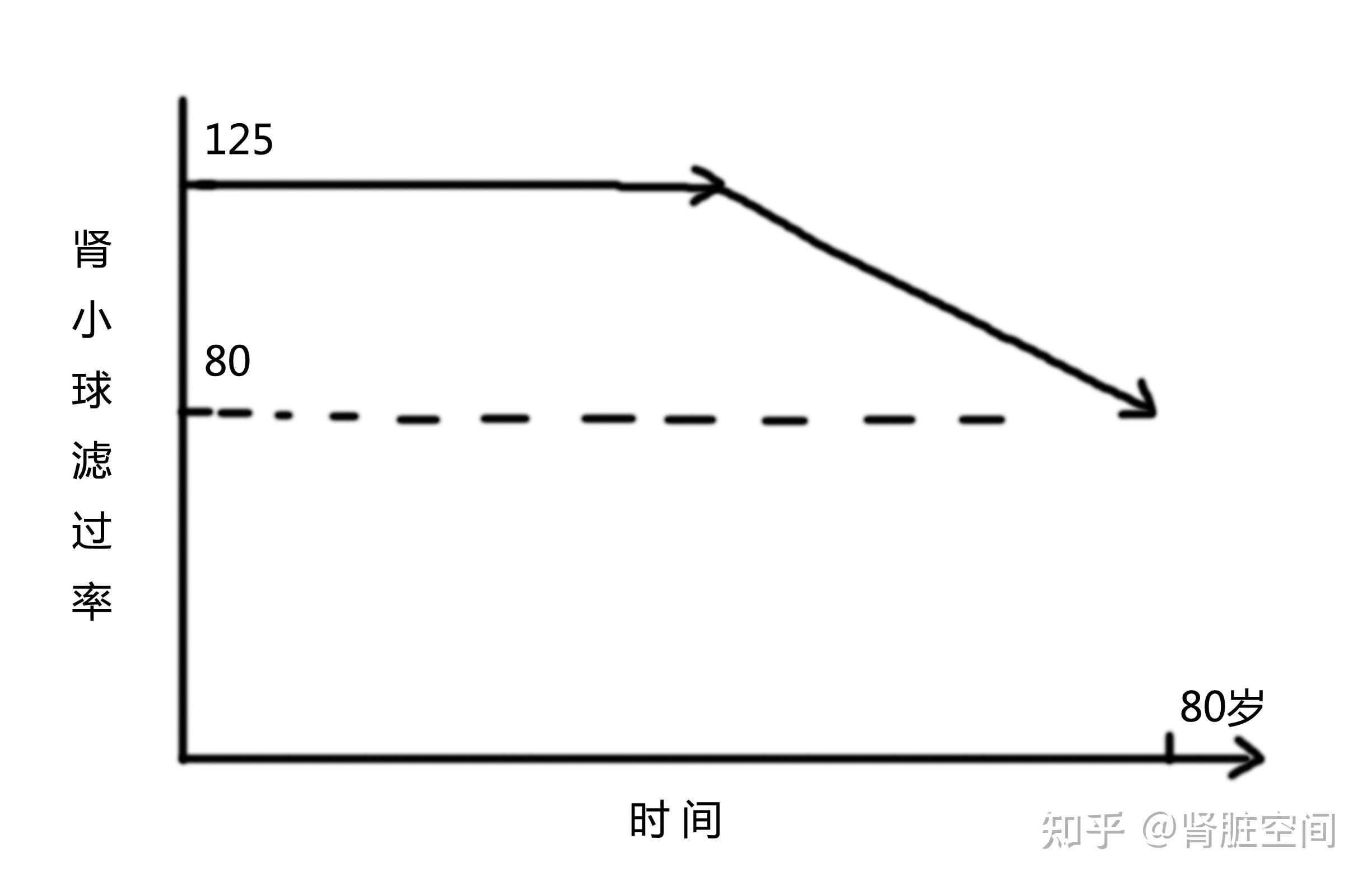 正常人很容易做到我画一张肾脏生理性衰老的图:横坐标是时间(年龄),纵