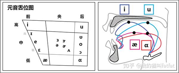 nl发音图解舌位图-千图网