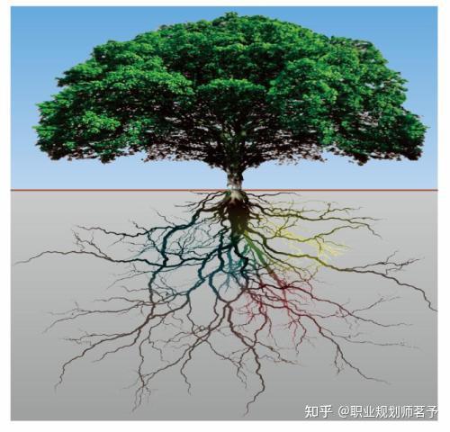 职业生涯也分内外你知道吗