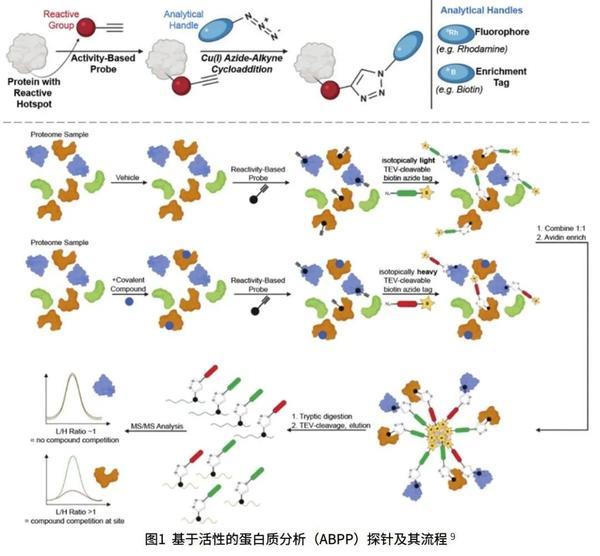 基于蛋白质组学的药物靶点发现新策略 - 知乎