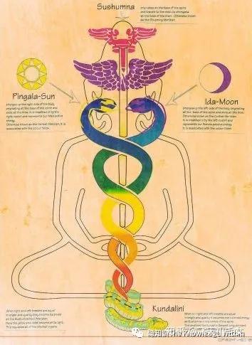 我们隐藏着的潜在能量—— 拙火(kundalini)也将从中脉(sushumna)觉醒