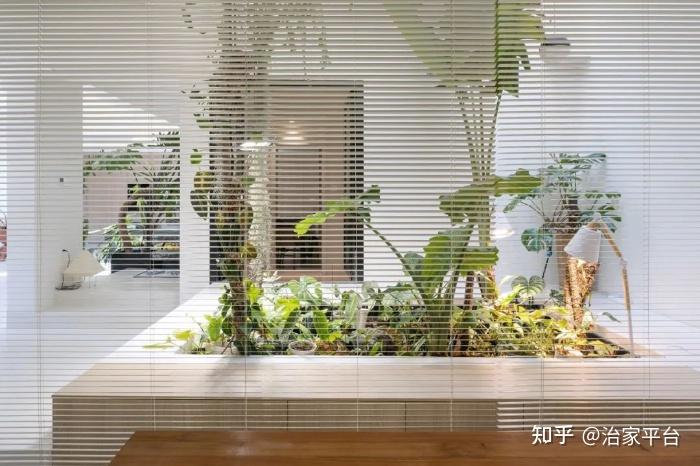 室内装修,绿植这样摆才高级! - 知乎