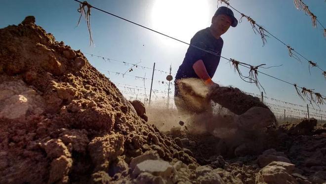 摄影老王沉浸式体验入土为安在80cm的土层下感受温暖