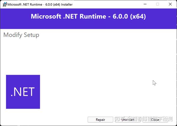  net framework 6 0 