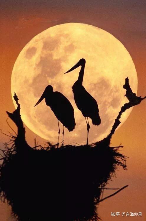 当我微笑的时候全世界都在对我微笑