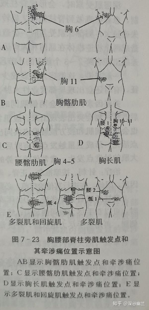 身体上半部疼痛原因及症状 知乎