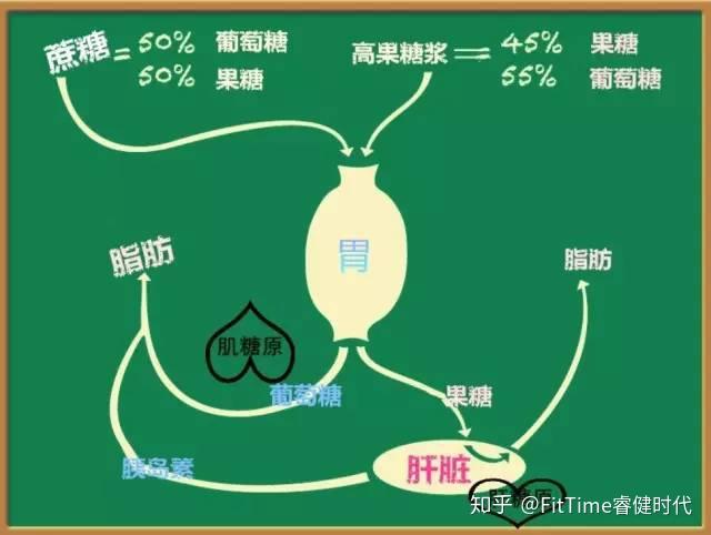 面,薯类,水果等)进入体内会变成葡萄糖或者果糖进入肝脏细胞开始代谢