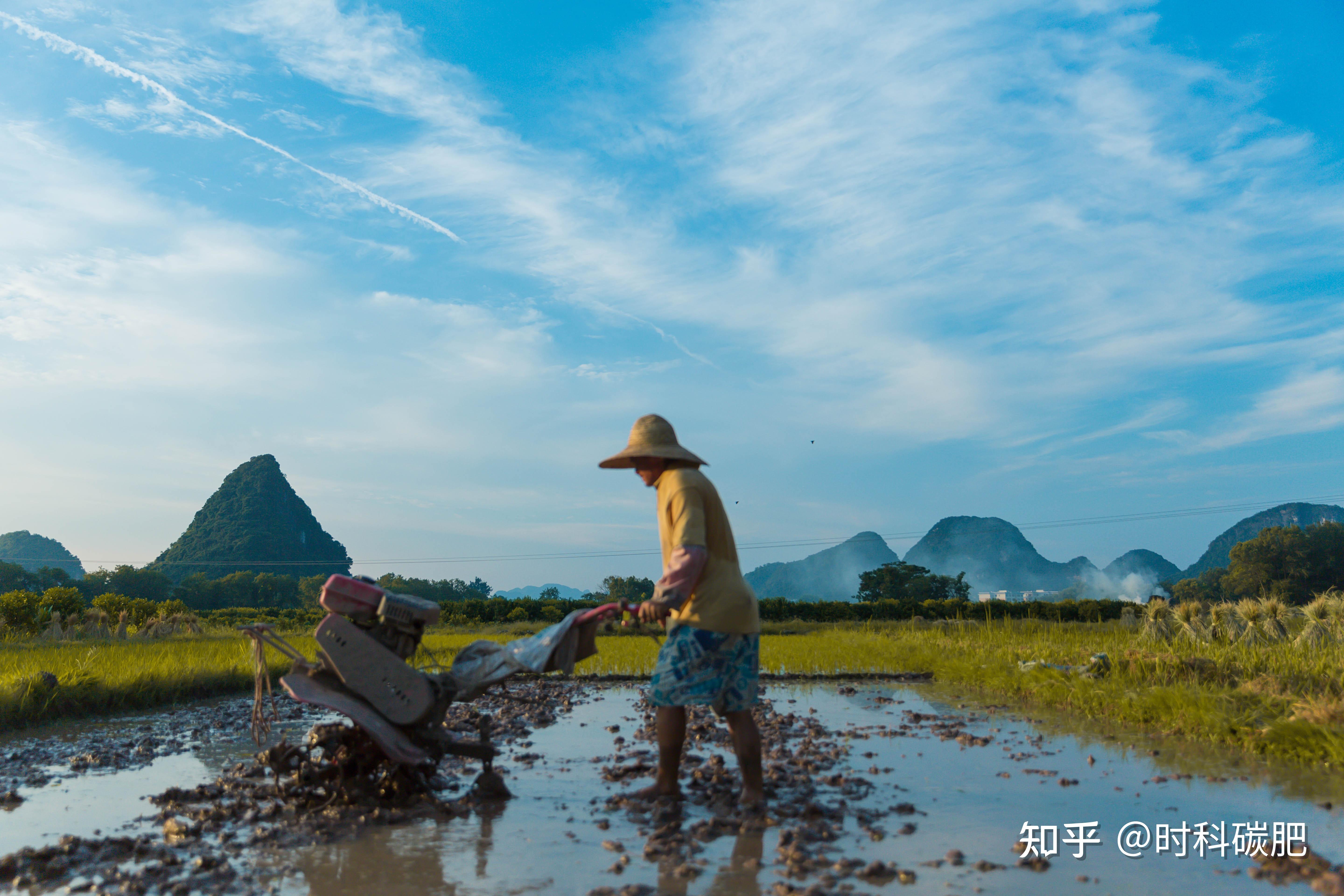 有机质是什么?在土壤中的作用是什么? - 知乎