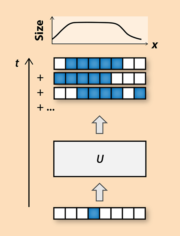 xu和swingle转向了被称为布朗耦合簇(brownian coupled cluster,bcc