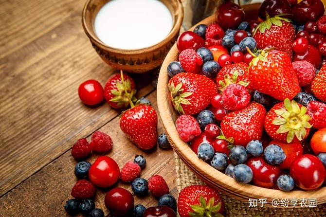 原来这些水果都属浆果类水果! - 知乎