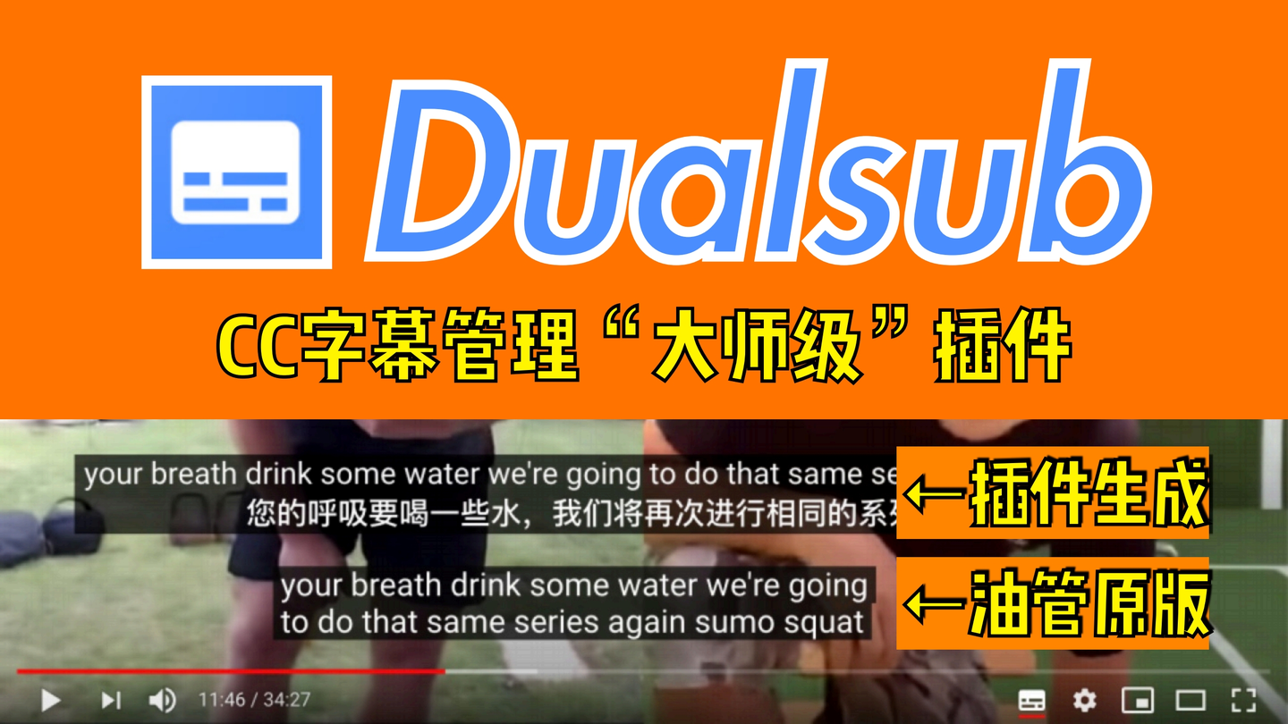 最好的字幕翻译插件dualsub 打造youtube原生字幕效果 外语日语学习利器 1 15 0版 知乎