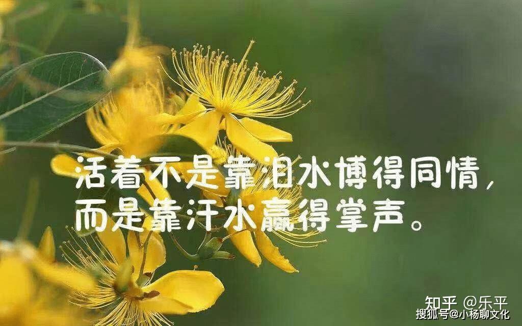 摘抄过的很棒的句子超级棒的好句子句句金典能让人狂赞点赞最高的精美