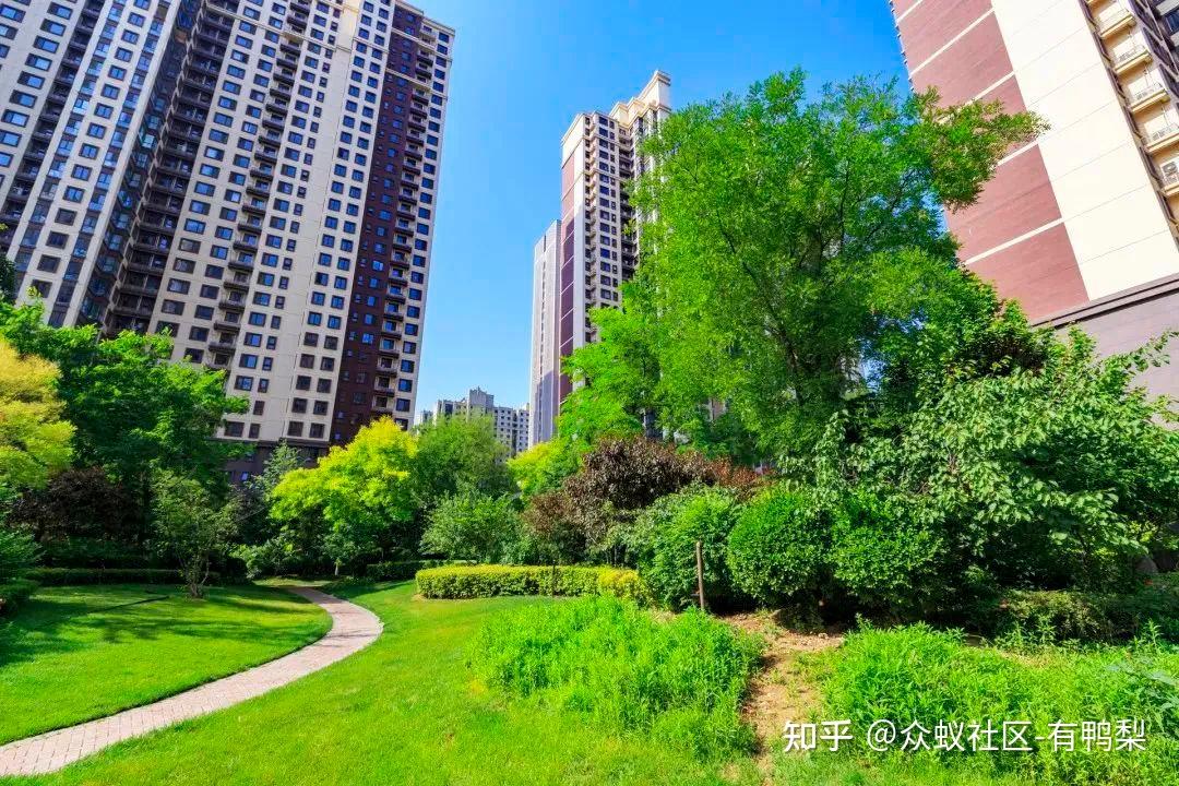 小区业委会未成立,居委会可以代签新物业公司吗? - 知乎