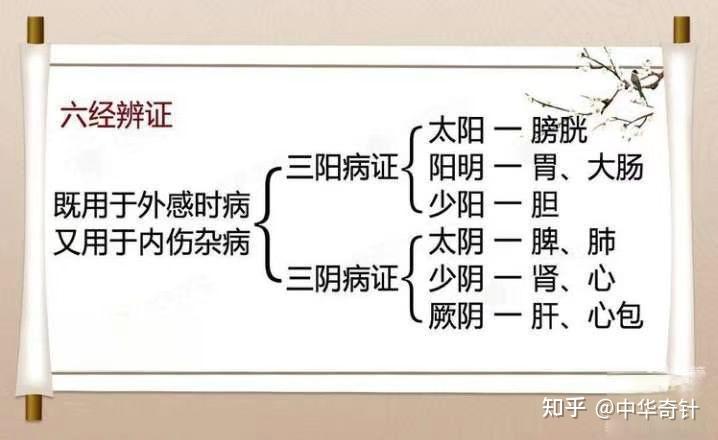 中医的理论模型之六经与九宫 - 知乎