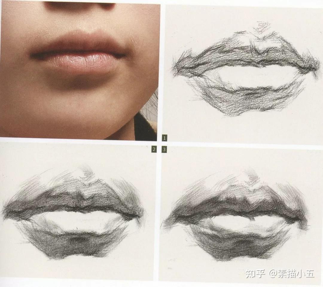 干货 | 手把手教会你素描石膏像之嘴巴的刻画
