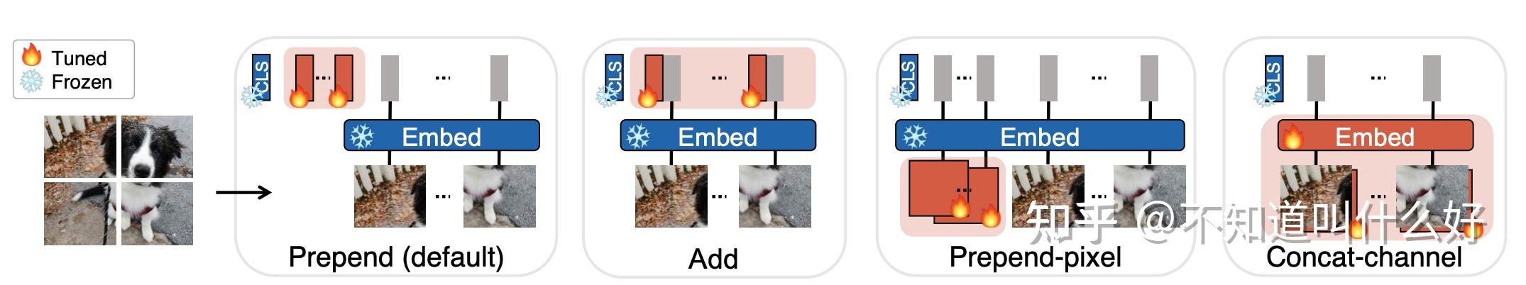 Visual Prompt Tuning（ECCV 2022） - 知乎