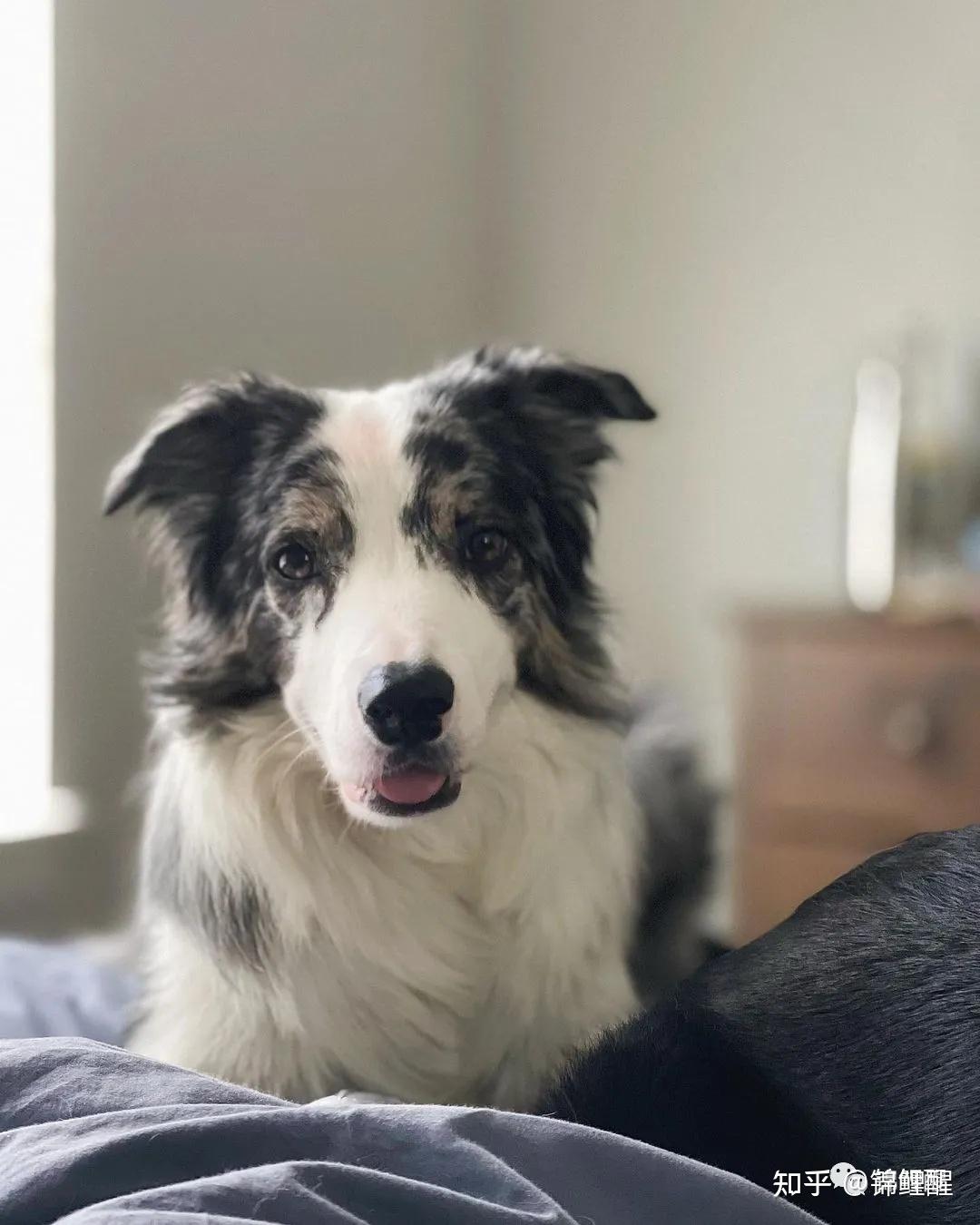 绿卡入门（13）：EB1A再来15问 || 转行，找独立推荐人，弱case心理建设，没有律所接我的case，咋办？ - 知乎