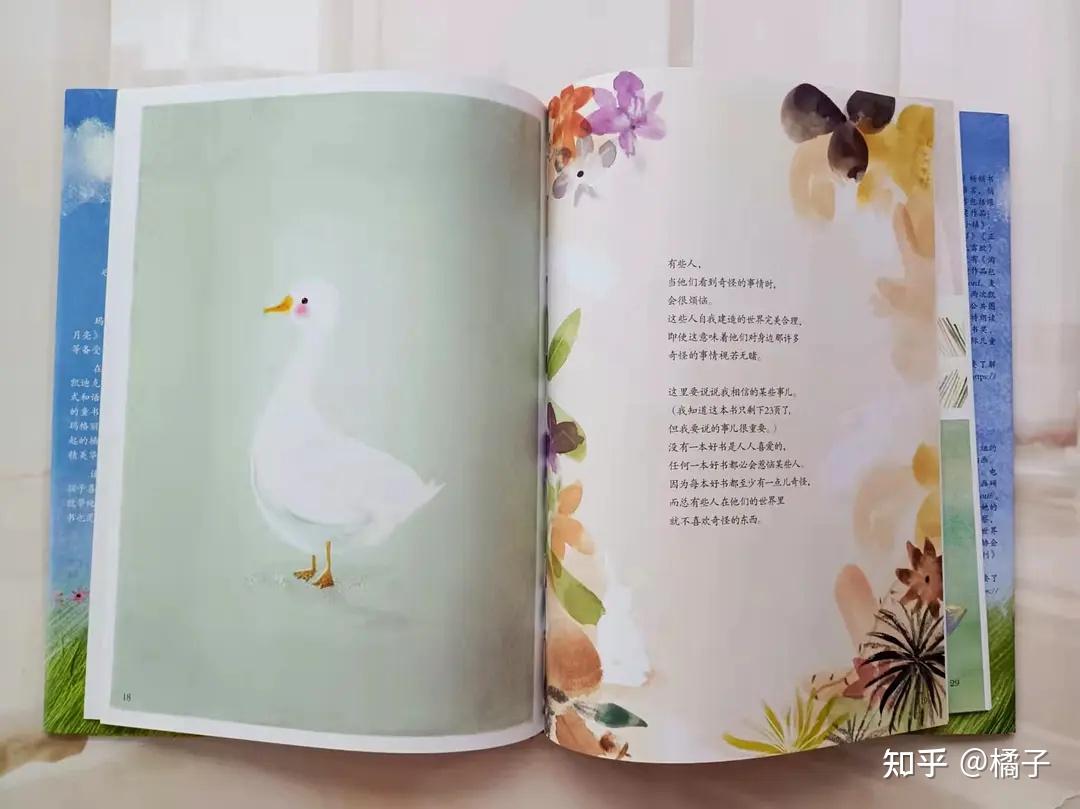 逃家小兔作者的绘本传记读懂了作者书就有了温度