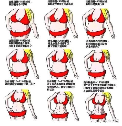 如何测算自己的bmi v2-ecfa5c7076e55ca1fa17490a19360eed_r.jpg