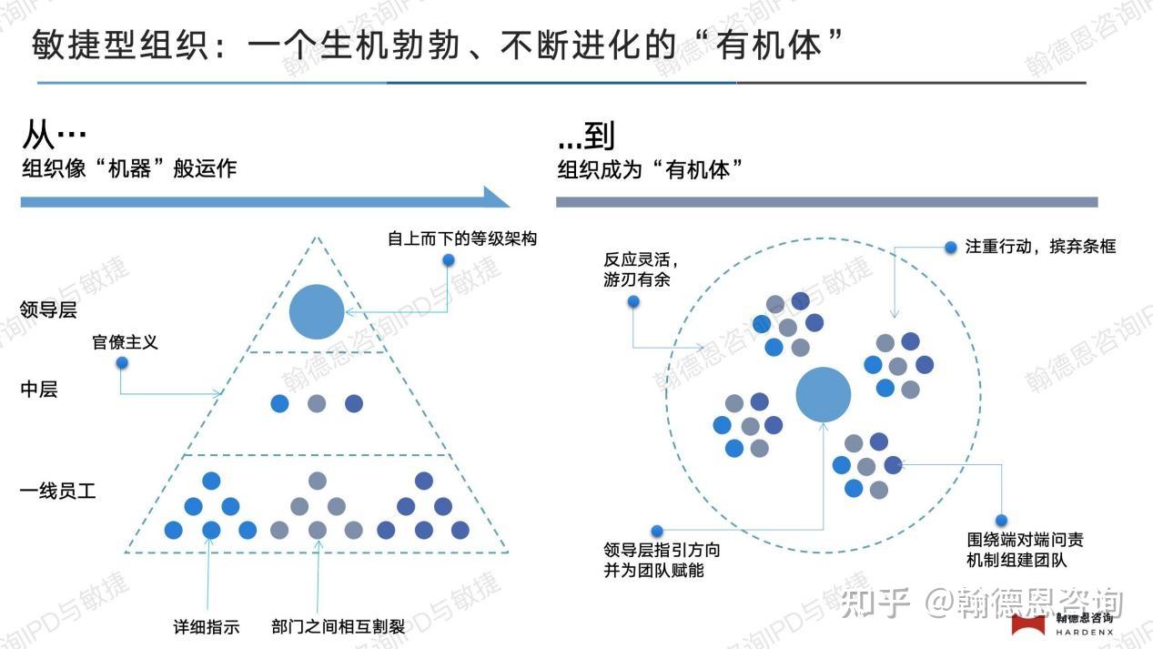 翰德恩咨询赋能500强药企打造敏捷组织 - 知乎
